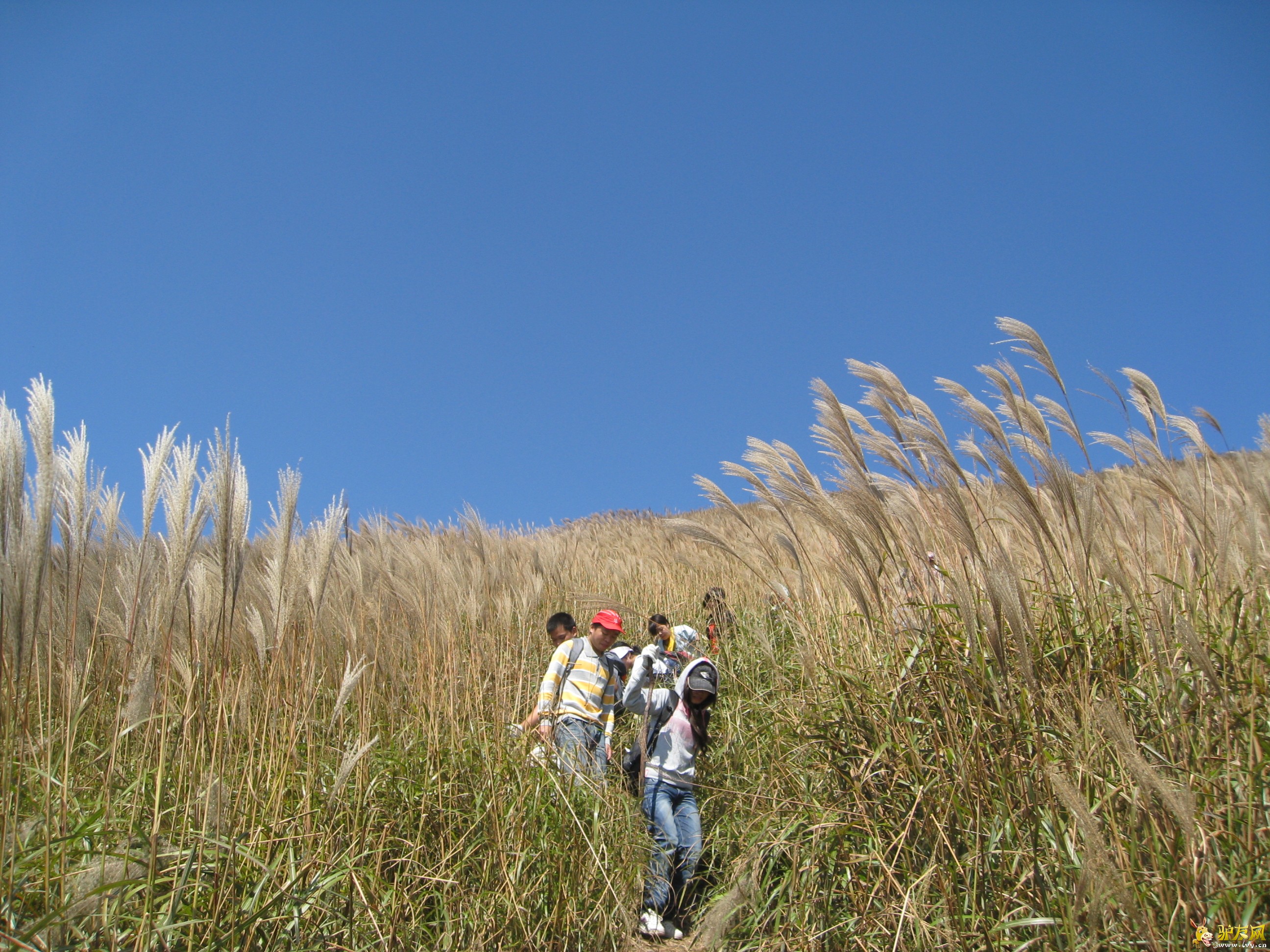 ��ݸ������ (12).jpg