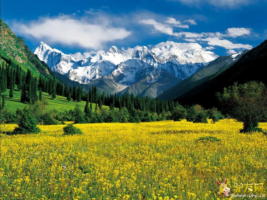 ���� (9).jpg