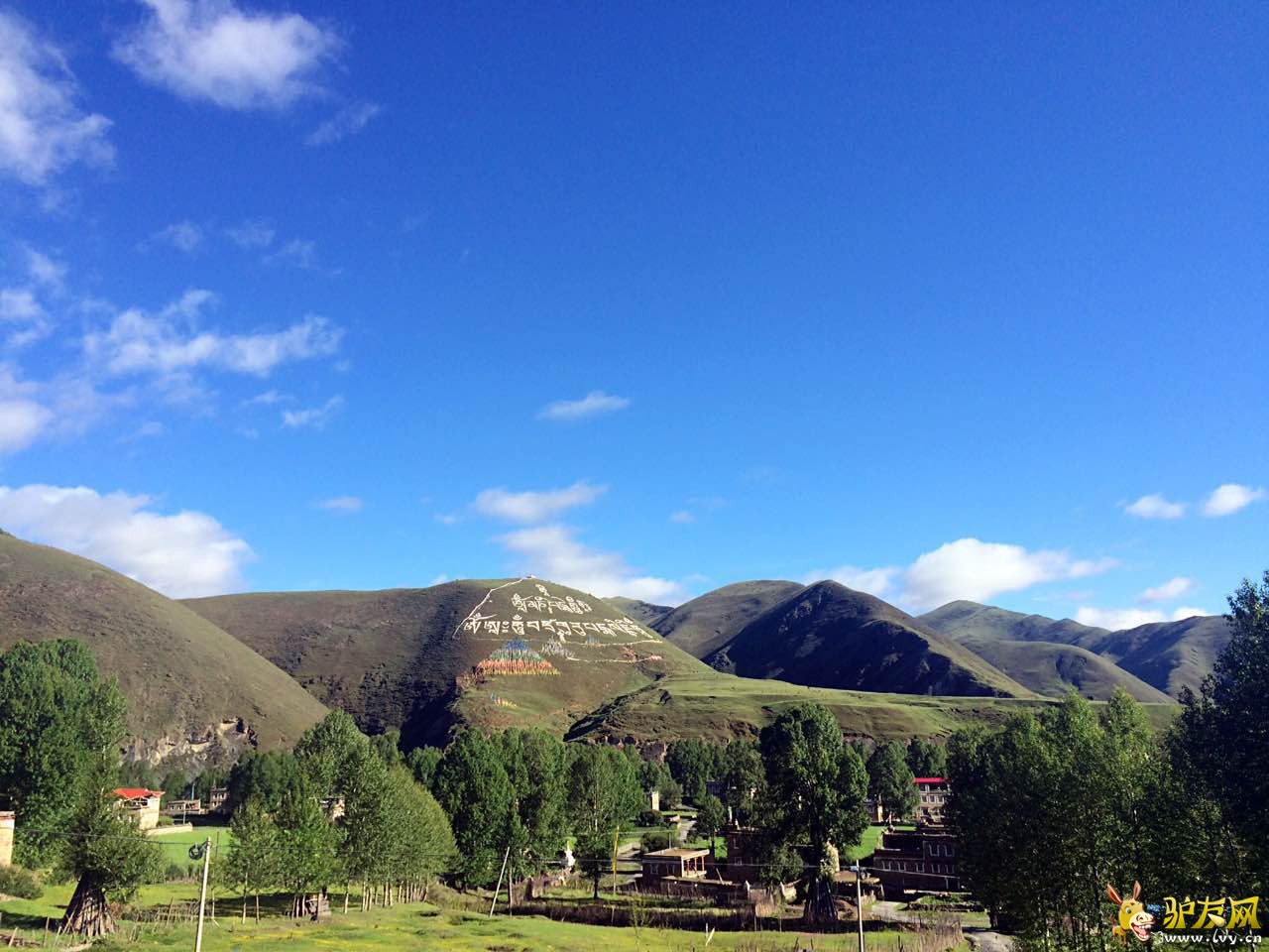 Ϳʦ��IMG_3084.JPG